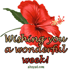 th_greatWeek391.gif